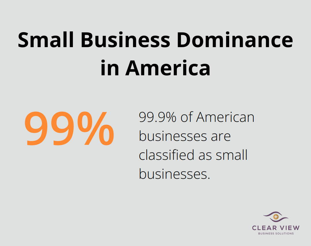 Pie chart showing 99.9% of American businesses are small businesses - business entity definition