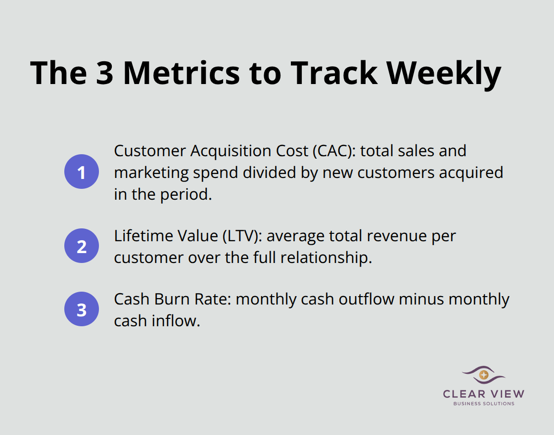 Compact list of CAC, LTV, and cash burn rate definitions for startup leaders - Startup accounting growth Tucson